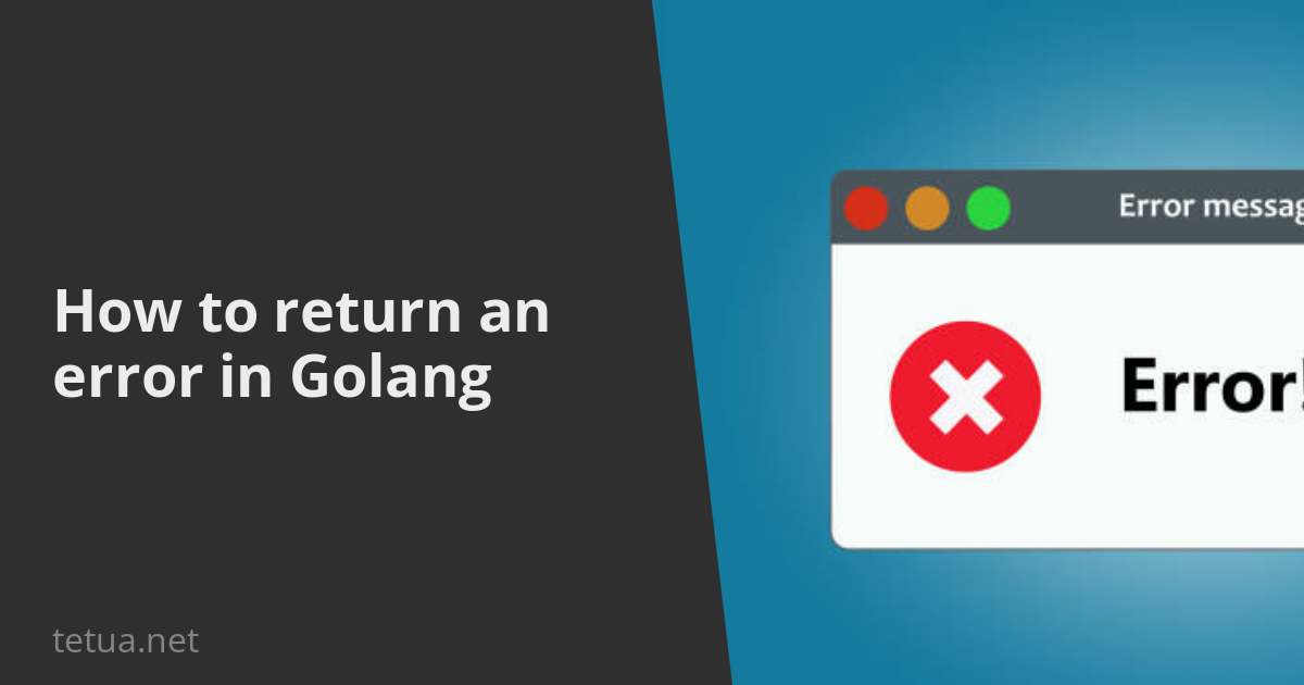 How to return an error in Golang